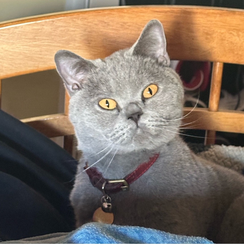 Meet your Posher, Juan